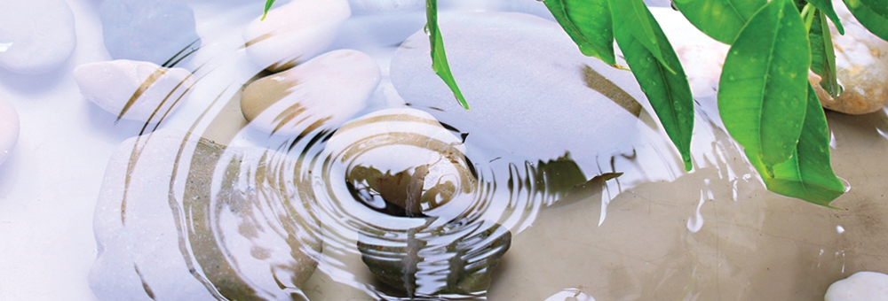 Heart Song Therapies